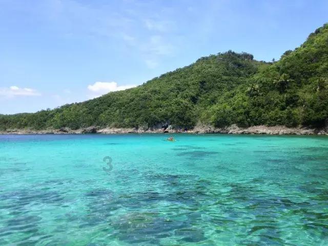 救援受困的鬃狼