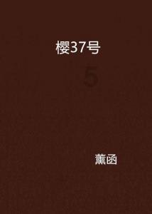河北发现苏麻喇姑墓，墓地规格与传言相反，被破坏严重